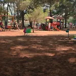 Novigrad Daire