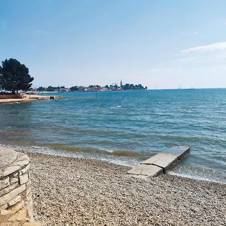 Novigrad Lägenhet Novigrad Istria