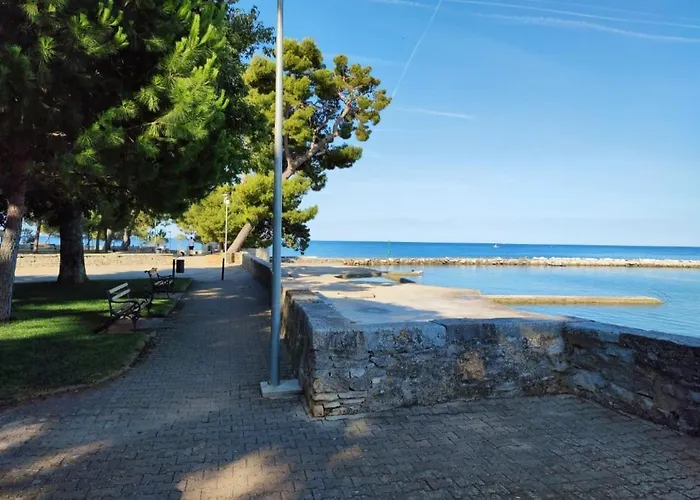 Novigrad