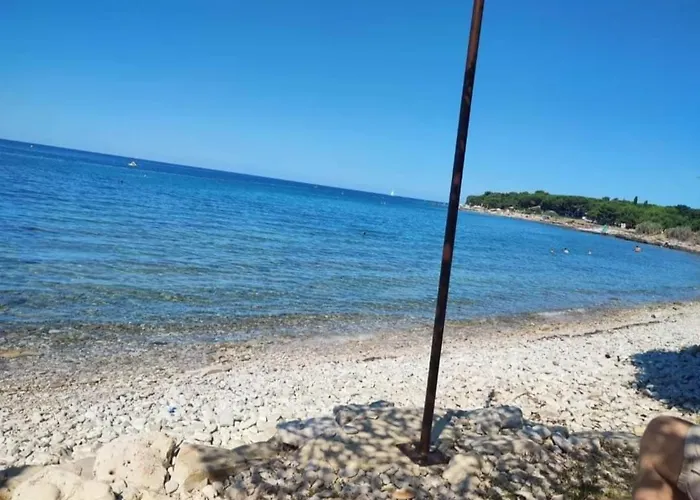 Novigrad