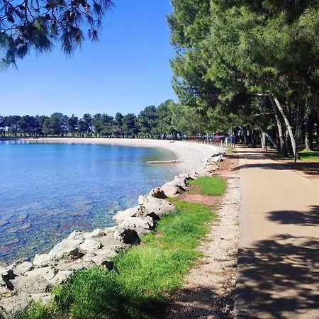 Novigrad *