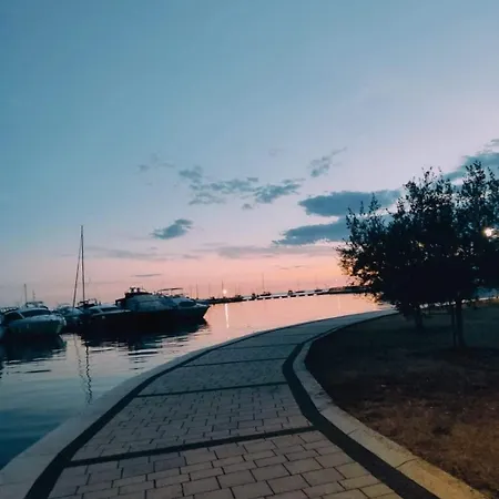 Apartment Novigrad *