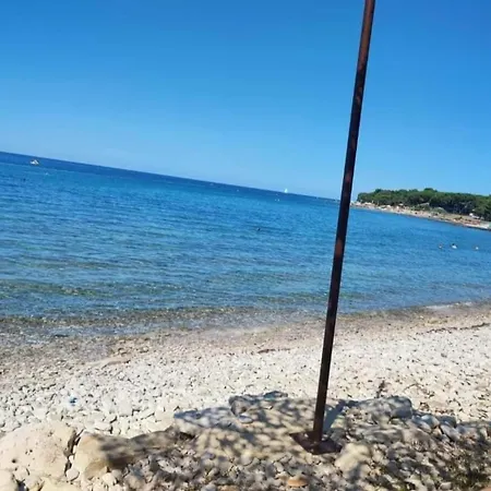 Novigrad