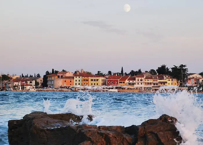 Novigrad Apartman