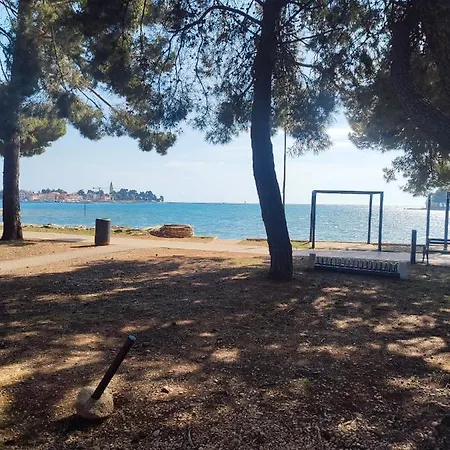 Novigrad