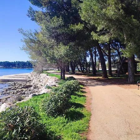 Novigrad Appartement *